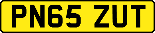 PN65ZUT