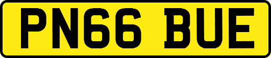 PN66BUE