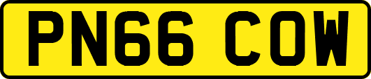 PN66COW