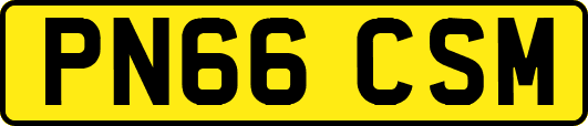PN66CSM