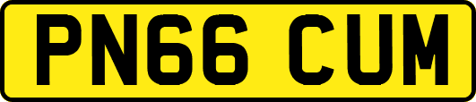 PN66CUM