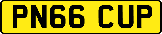 PN66CUP