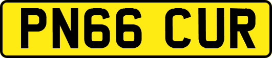 PN66CUR
