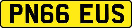 PN66EUS