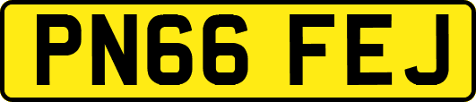 PN66FEJ