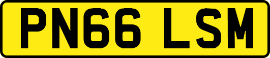 PN66LSM