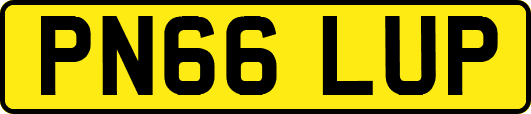 PN66LUP