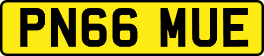 PN66MUE