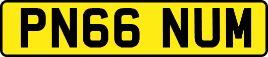 PN66NUM