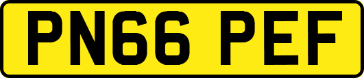 PN66PEF