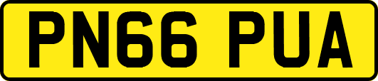 PN66PUA