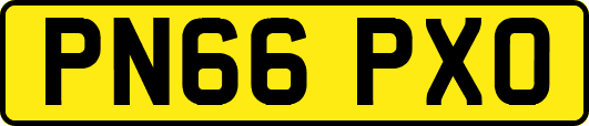 PN66PXO