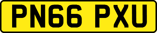 PN66PXU