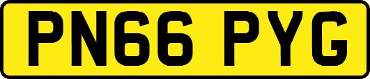 PN66PYG