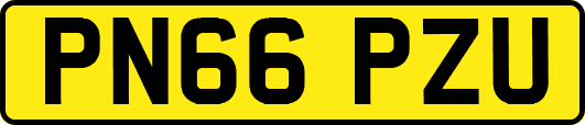 PN66PZU