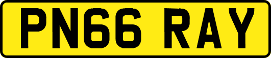 PN66RAY