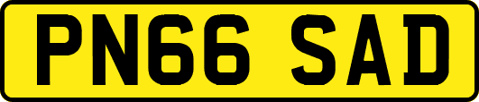 PN66SAD