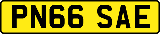 PN66SAE