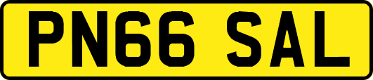 PN66SAL