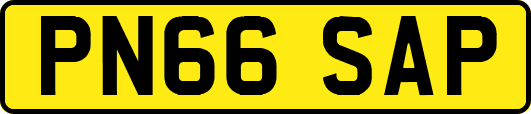 PN66SAP