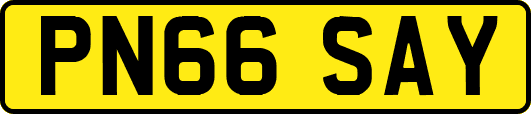 PN66SAY