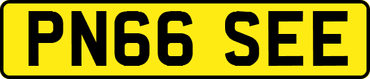 PN66SEE