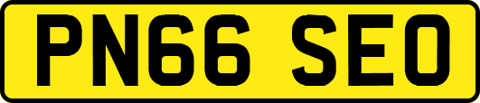 PN66SEO