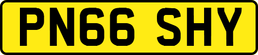 PN66SHY
