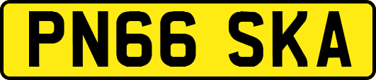 PN66SKA