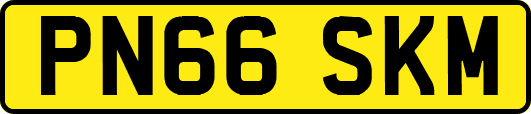 PN66SKM