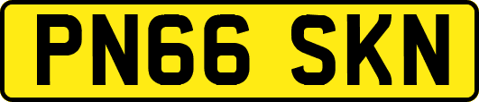 PN66SKN