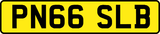 PN66SLB