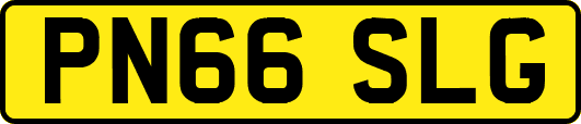 PN66SLG