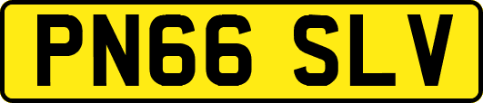 PN66SLV