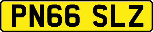 PN66SLZ