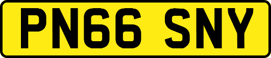 PN66SNY
