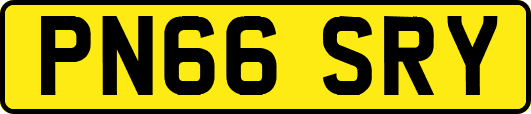 PN66SRY