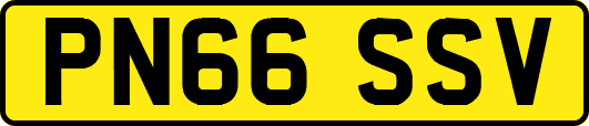 PN66SSV