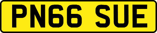 PN66SUE