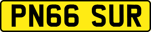 PN66SUR