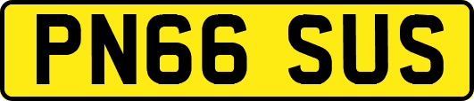 PN66SUS
