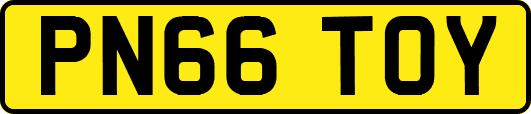 PN66TOY