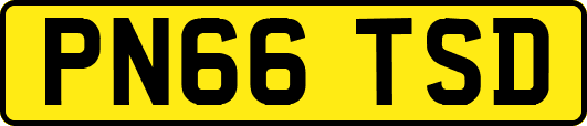 PN66TSD