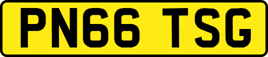 PN66TSG