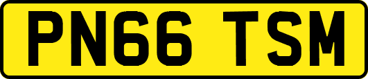 PN66TSM