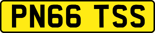 PN66TSS