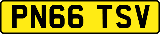 PN66TSV
