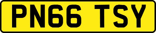 PN66TSY
