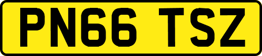 PN66TSZ