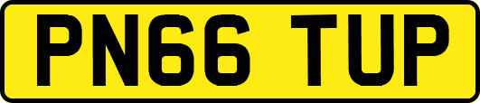 PN66TUP